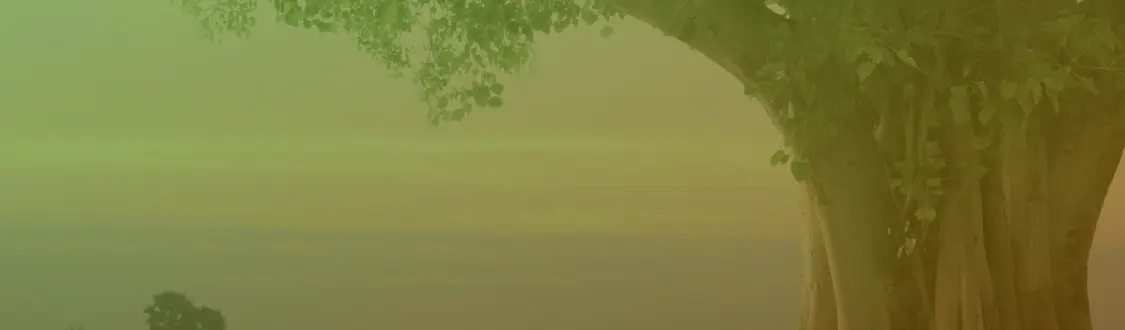 香水