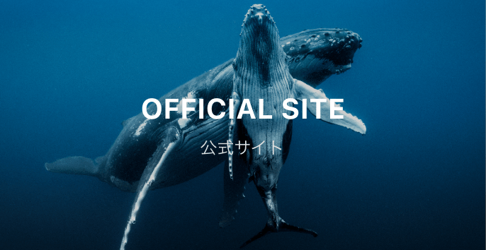 公式サイト