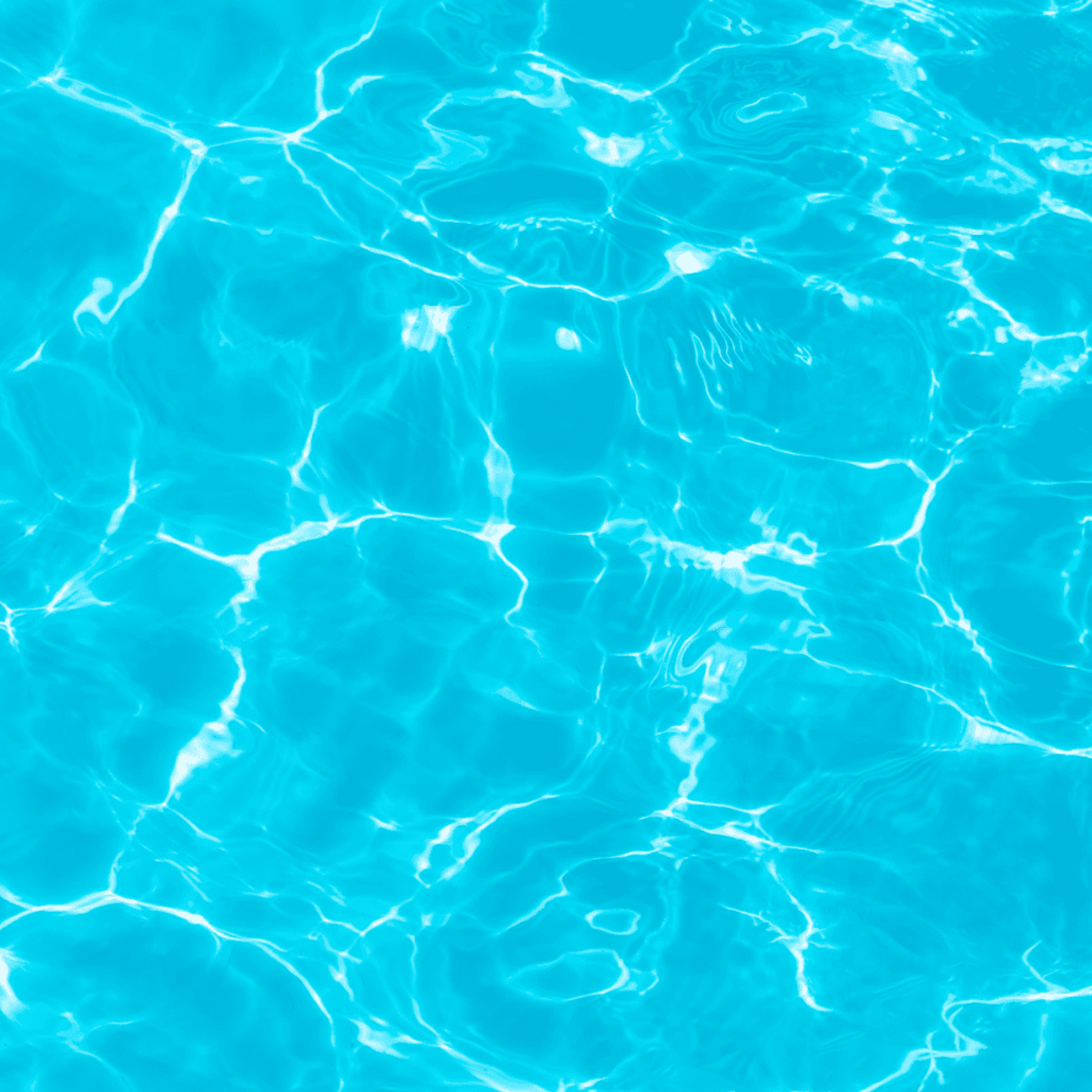 square_1200_9366f405-7625-433a