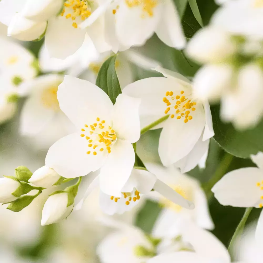 limit_1200_webp_c9934a73-39aa-