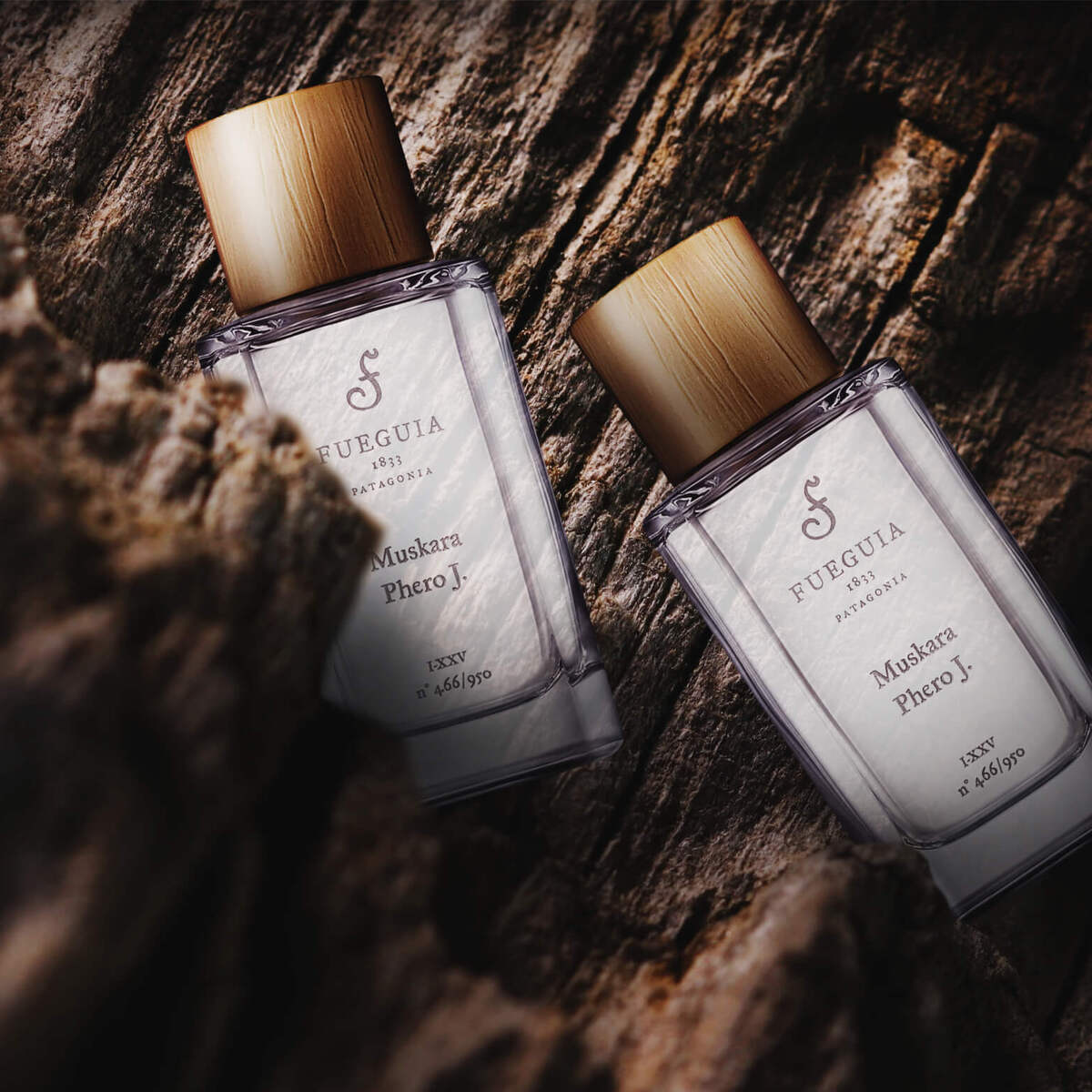 FUEGUIA 1833 | カラリア