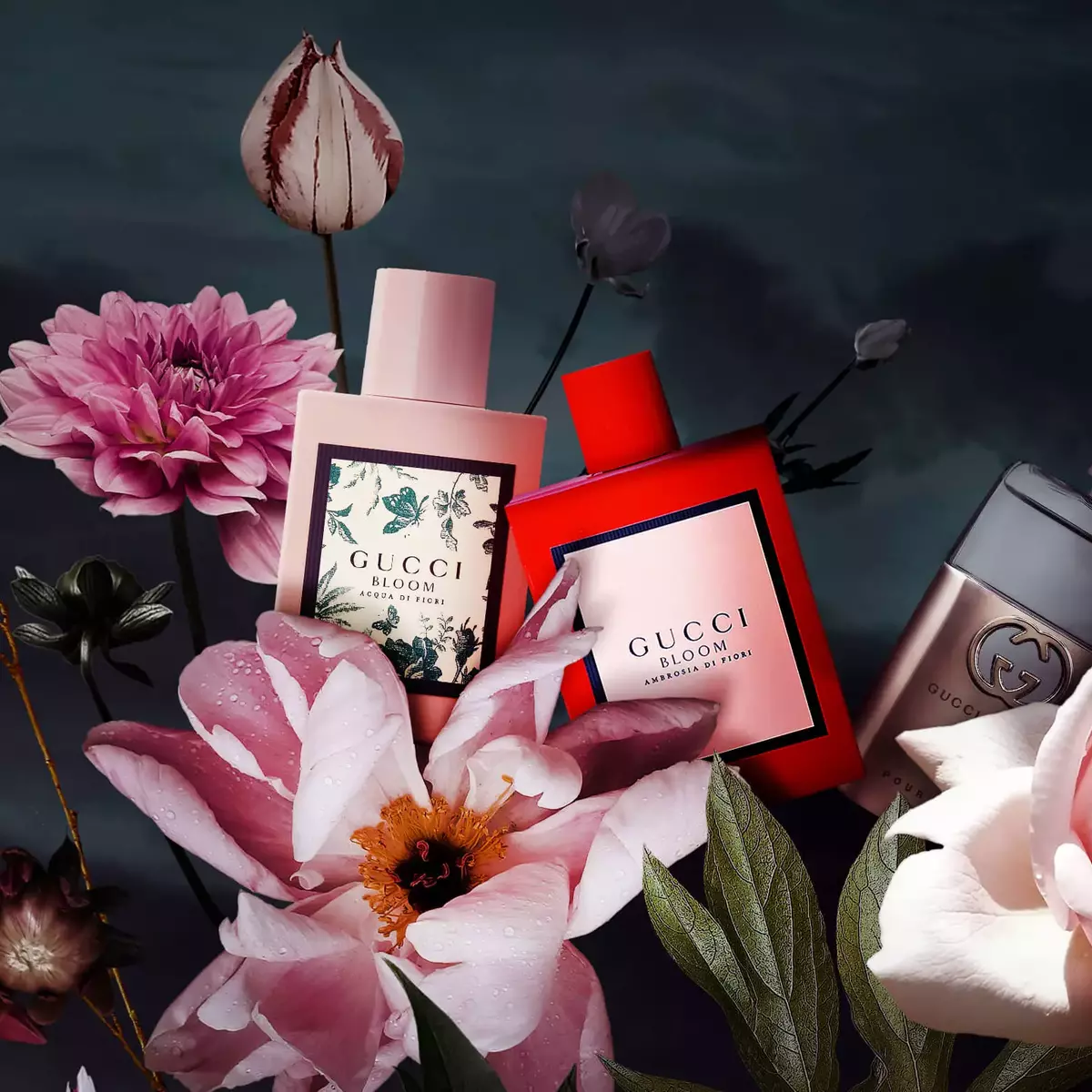 Bloom Ambrosia Di Fiori Coloria カラリア