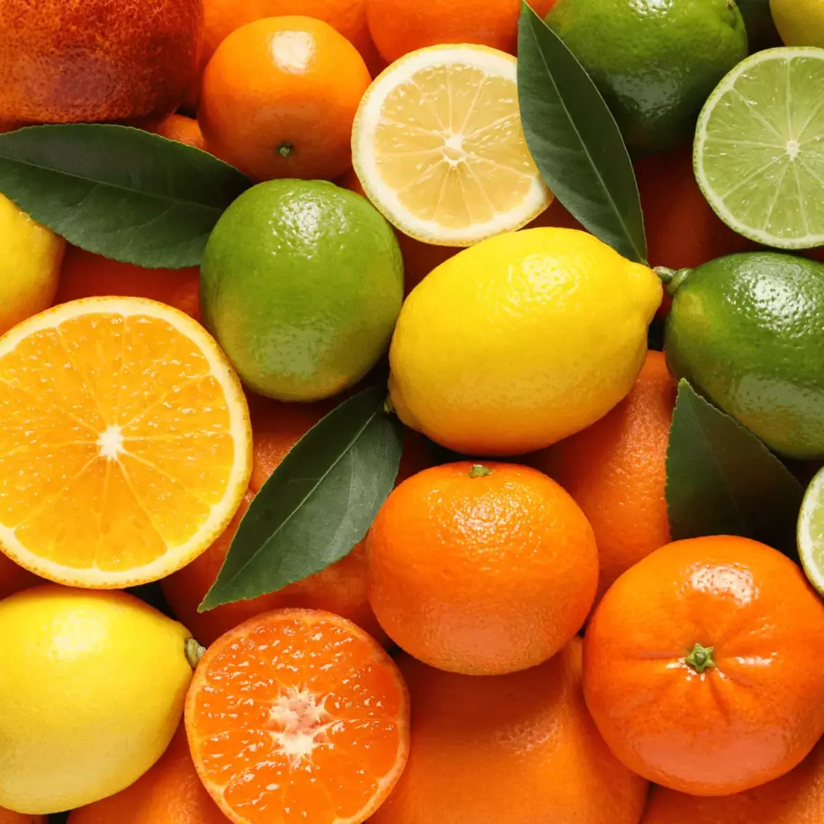 HERMES Eau d'orange verte 香水 保存版】エルメスの香水「Eau d'Orange Verte」を徹底解説