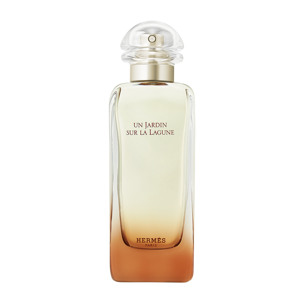 HERMES　ラグーナの庭 Amazon | HERMES(エルメス) エルメス ラグーナの庭 EDT SP 100ml