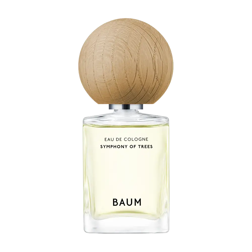 シンフォニー オブ ツリー - バウム (BAUM) | カラリア