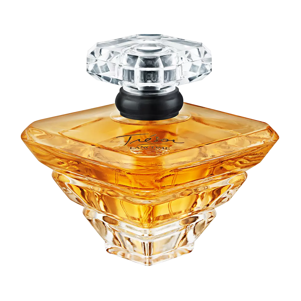 webp_1701afe1-e5a5-46ba-bd4f-