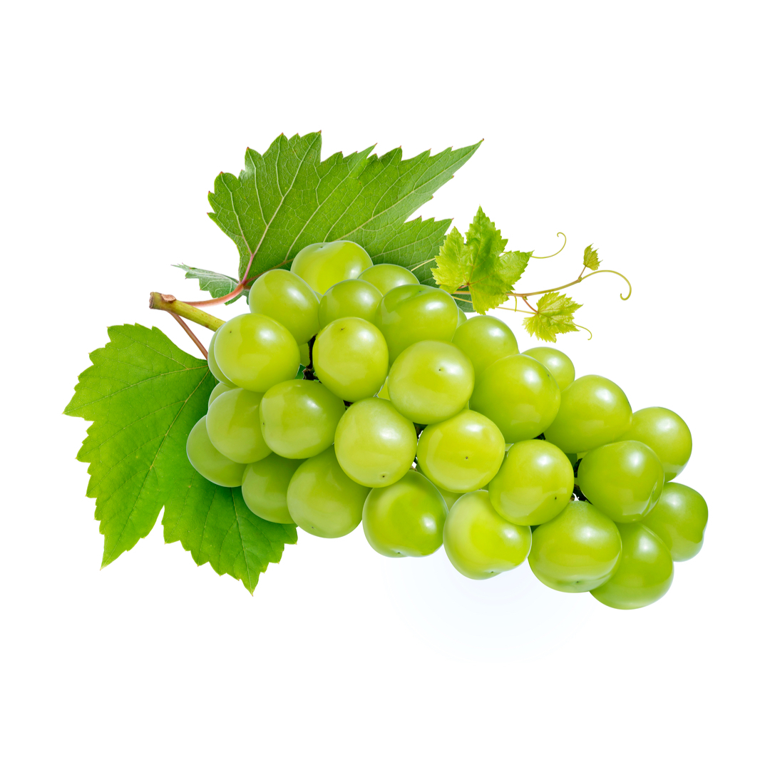 ワサンボン - パルファンサトリ (PARFUM SATORI) | カラリア