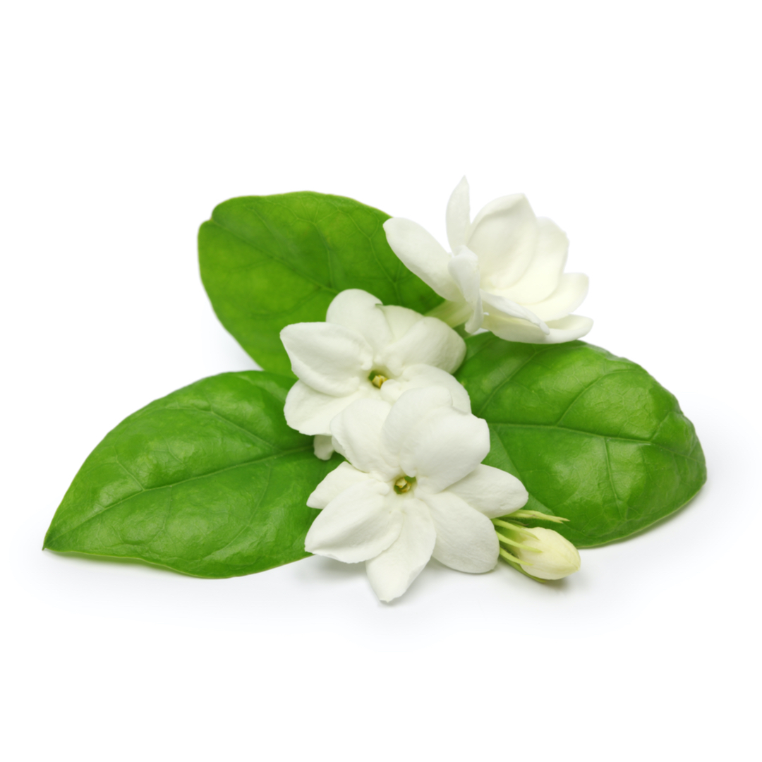 7d0ee70f-b7cf-4157-93d0-