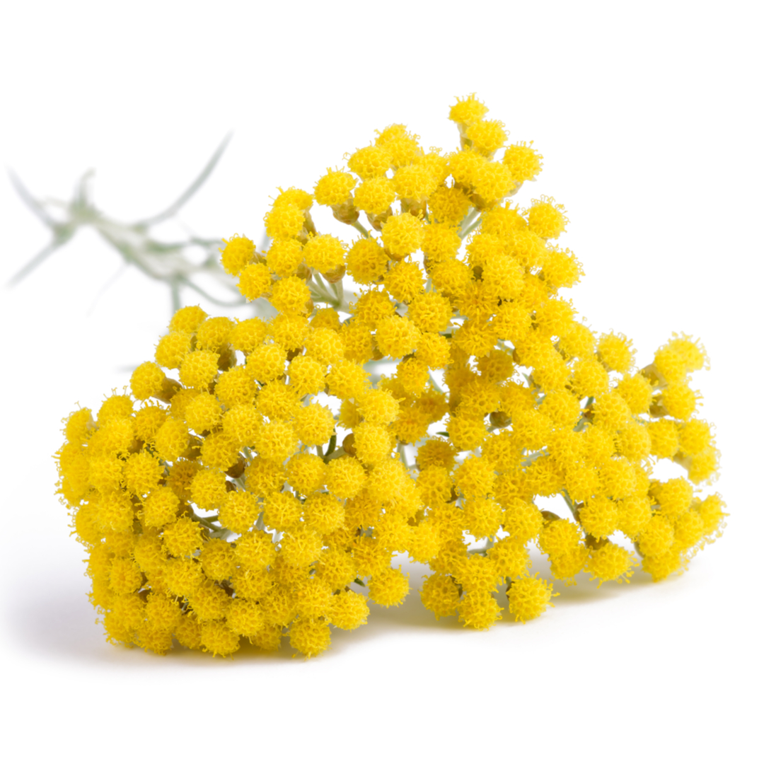 シェルギイ - セルジュ ルタンス (SERGE LUTENS) | カラリア