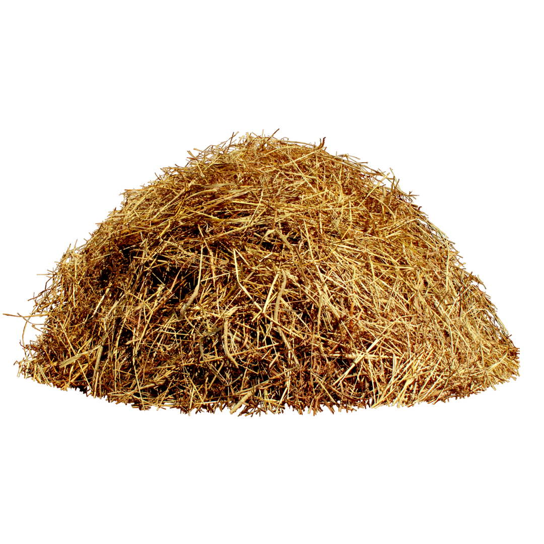 シェルギイ - セルジュ ルタンス (SERGE LUTENS) | カラリア