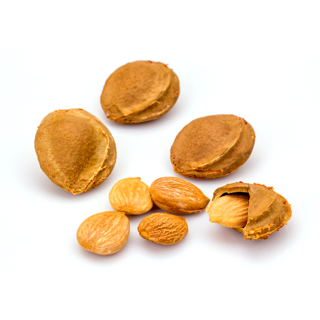 リキッドフレグランス杏仁 香水 | フィロソフィア | お試しサイズ