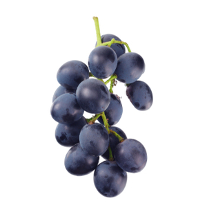 紫の上 香水 | パルファンサトリ | お試しサイズ | カラリア