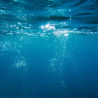 ウォータリーノート