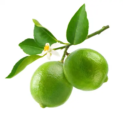 スウィートライム