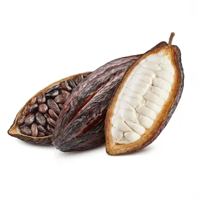 ホワイトココア