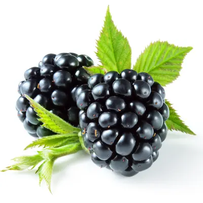ブラックラズベリー