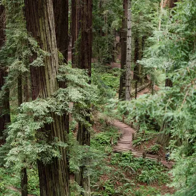 アーシーノート