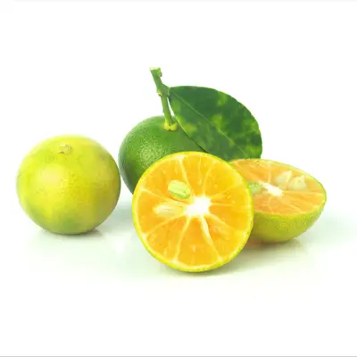 カラマンシーアコード