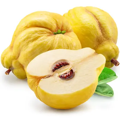 アクアティククインス(カリン)