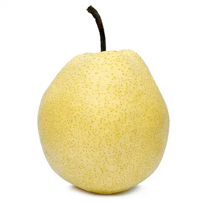 シンガポールパチョリ