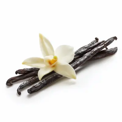 パプアニューギニア産バニラアブソリュート