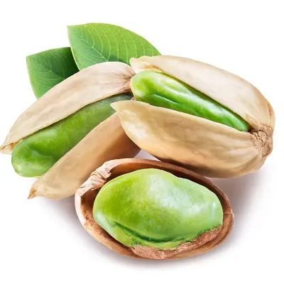 フレッシュピスタチオ