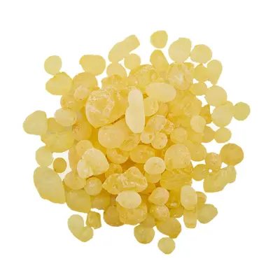 レンティスクアブソリュート