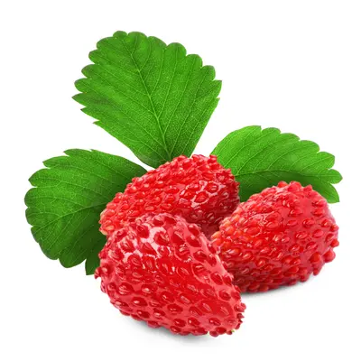 ワイルドストロベリーデライト