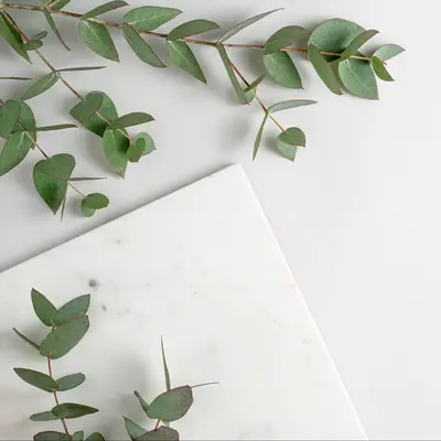 アロマティッククリーンアコード