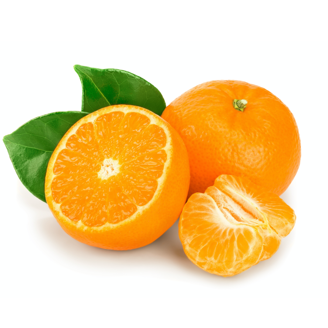 スエードオリス オードパルファン - モルトンブラウン (MOLTON