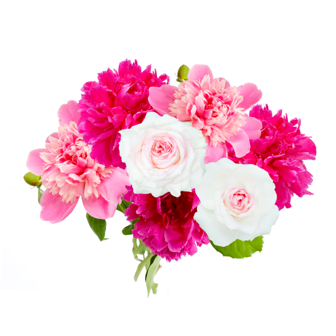 ヴェルベット オーキッド オード パルファム スプレィ - トム フォード