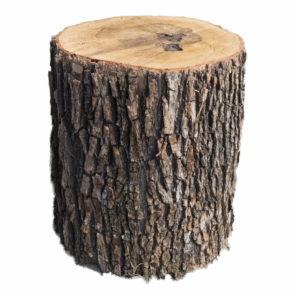 ベル ドゥ ジュール 香水 | メゾン クリスチャン ディオール | お試し