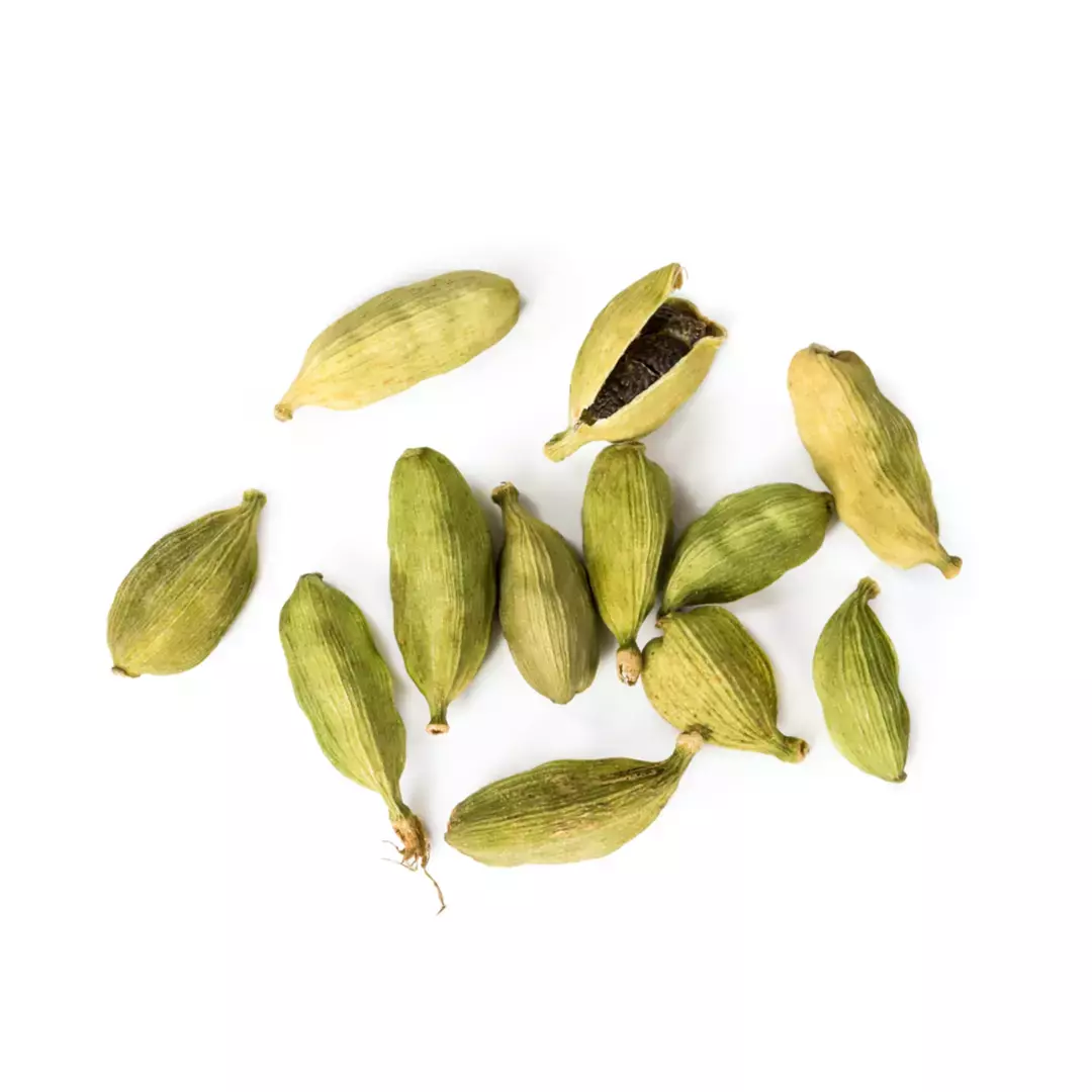 M1700 スモーク フラワー - サウザンドカラーズ (THOUSAND