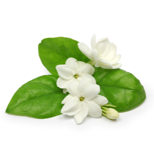 CLEAN クリーン リザーブ TERRA WOODS テラウッズ 100ml s-l400.jpg