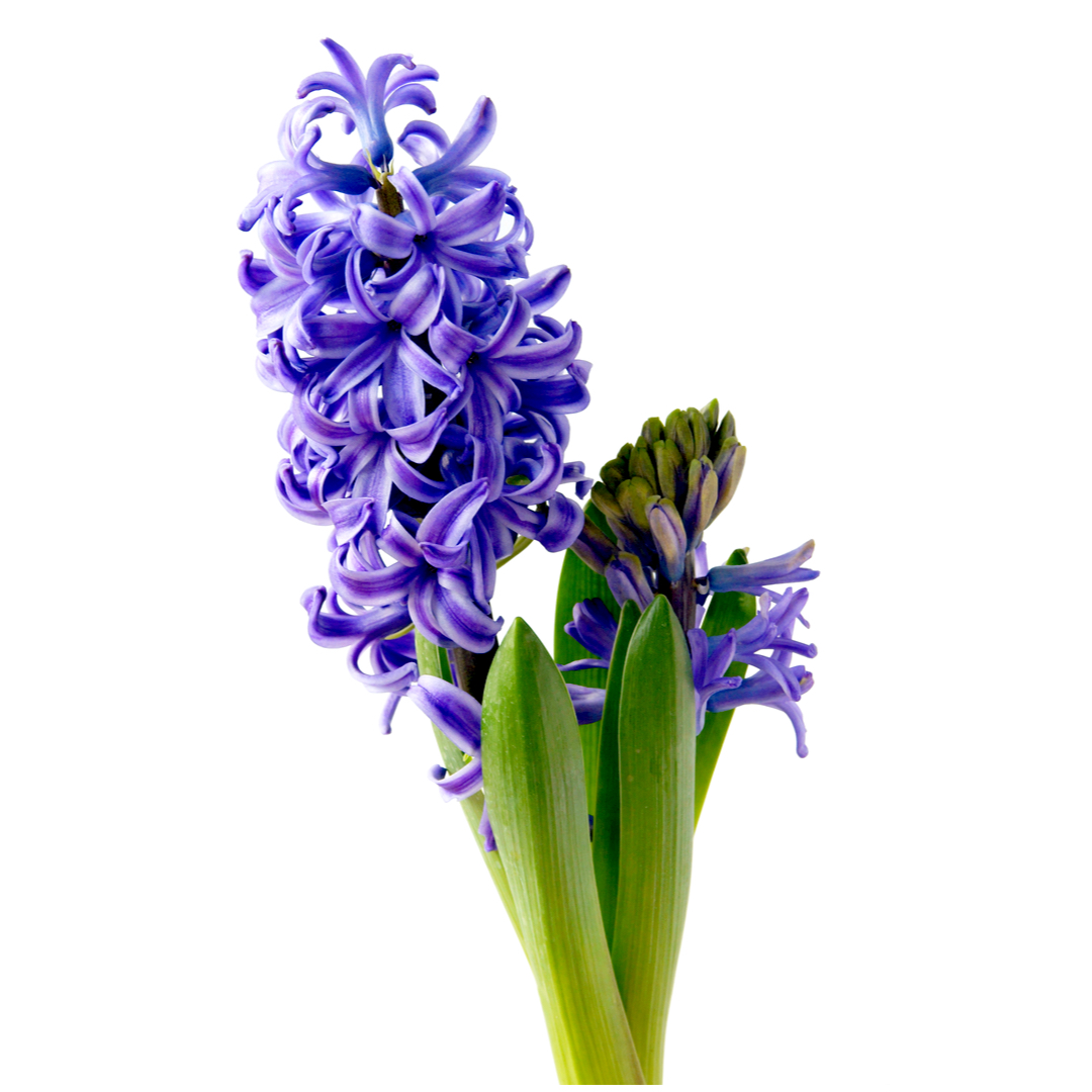 webp_b83646e8-10fe-44db-b9df-