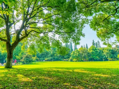 8月9月におすすめ！草原の風吹き抜けるグリーン＆ハーバルな香り