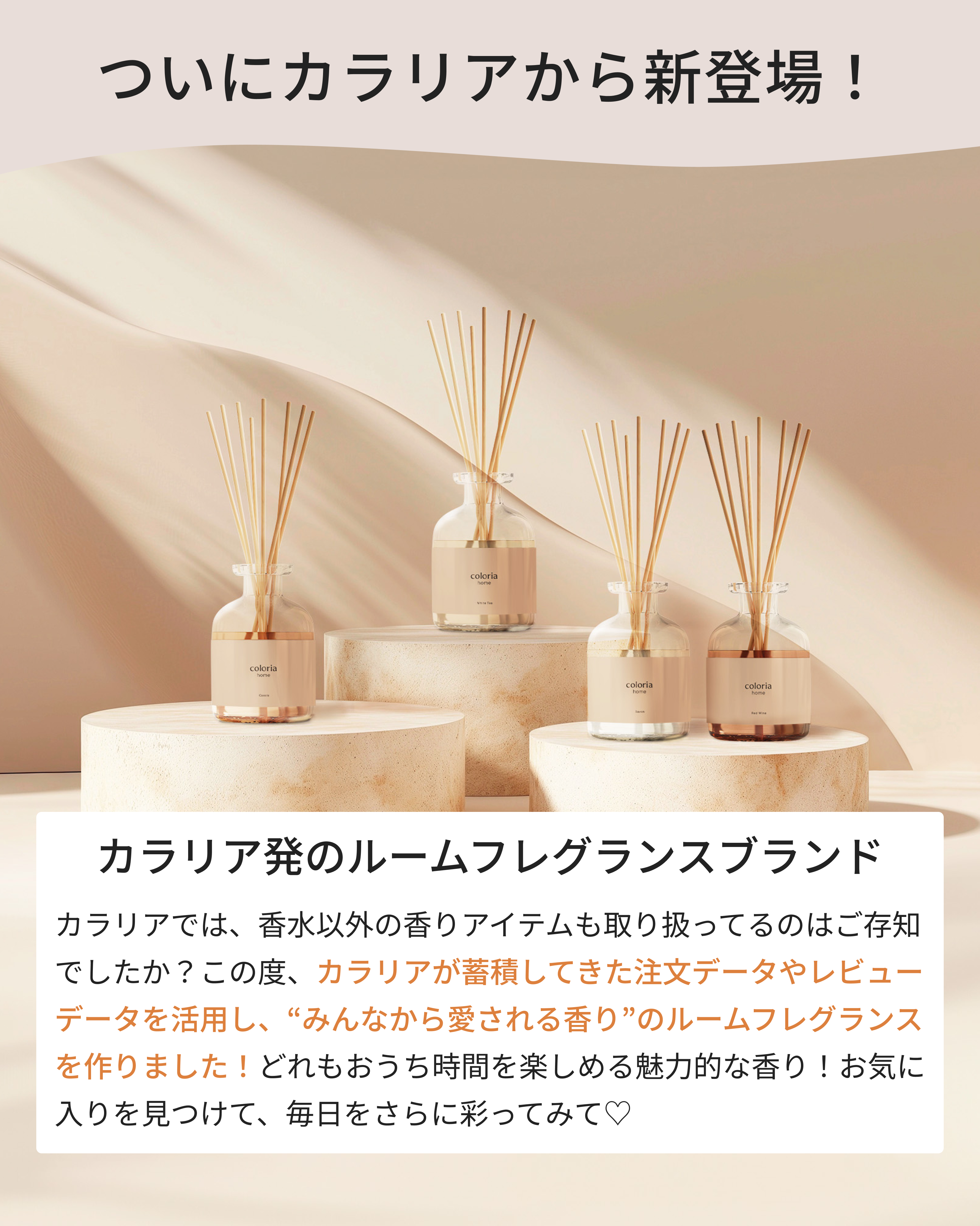 新たなお気に入りに出会える Coloria Home｜カラリア