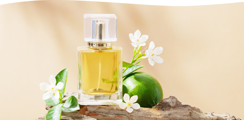 カラリア厳選 まず選びたい香り | カラリア