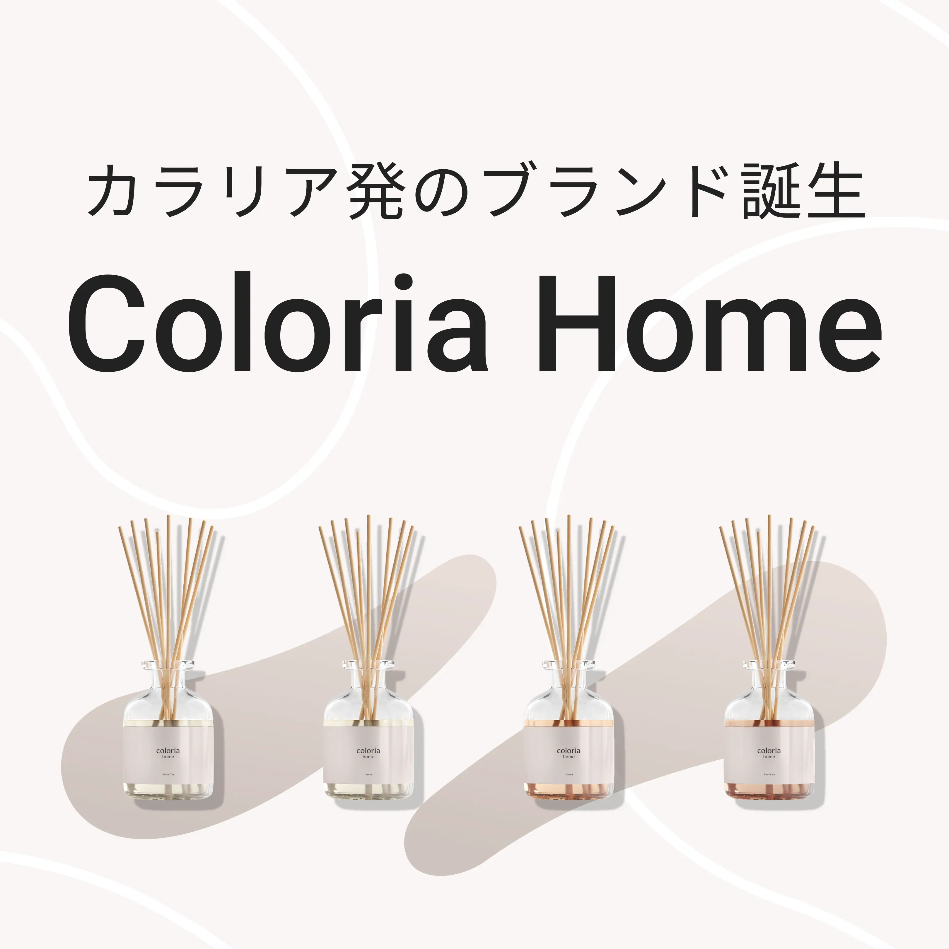 新たなお気に入りに出会える Coloria Home | カラリア